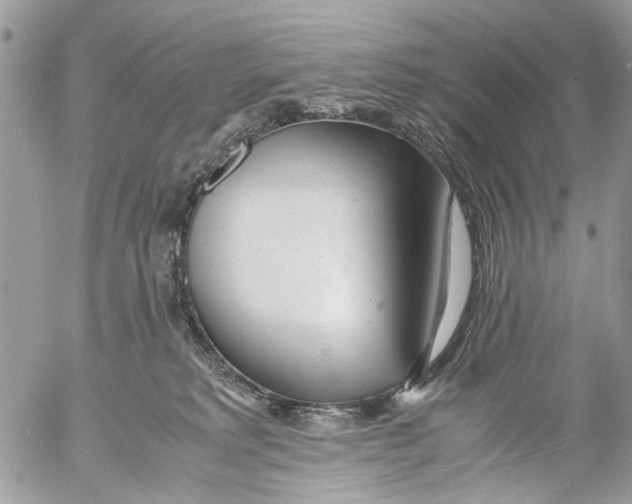 X0000053070229200508081228