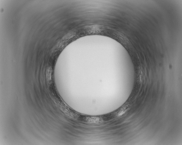 X0000053070230200508081228