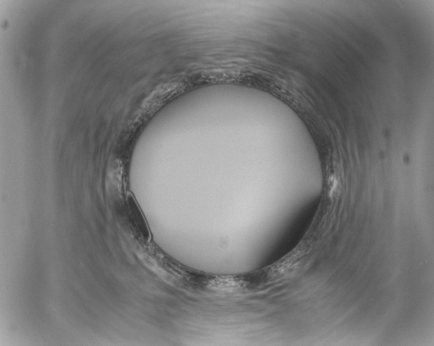 X0000053070231200508081228