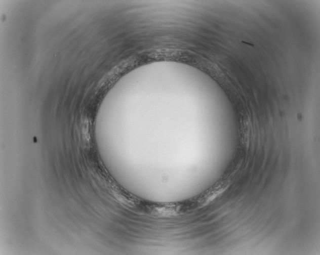 X0000053070232200508081228