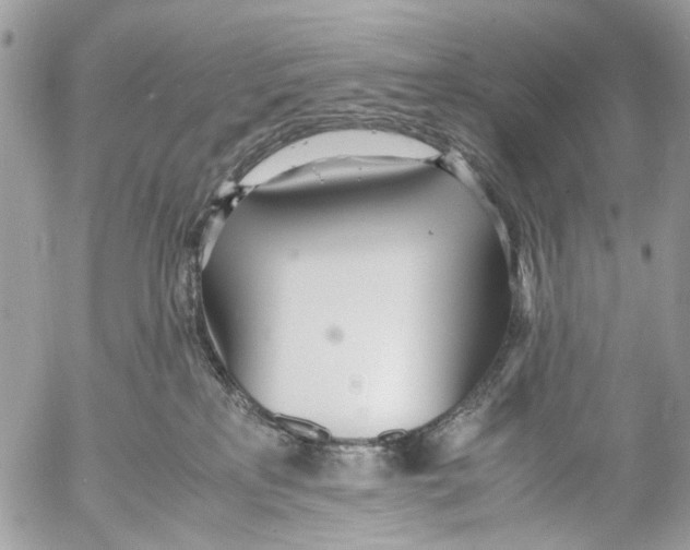 X0000053070233200508081228