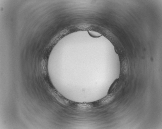 X0000053070234200508081228