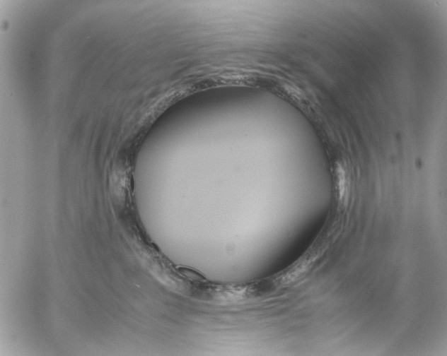 X0000053070235200508081228