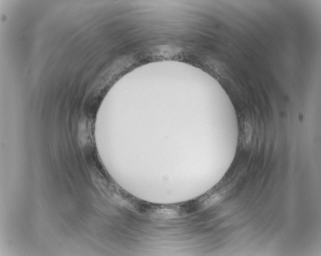 X0000053070236200508081228