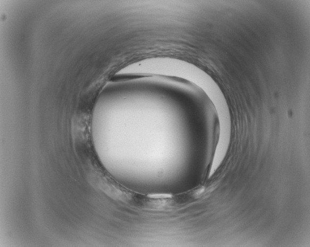 X0000053070237200508081228