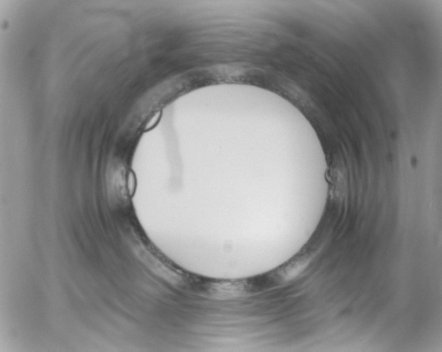 X0000053070238200508081228