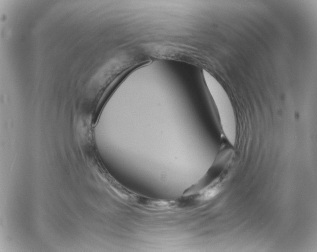 X0000053070239200508081228