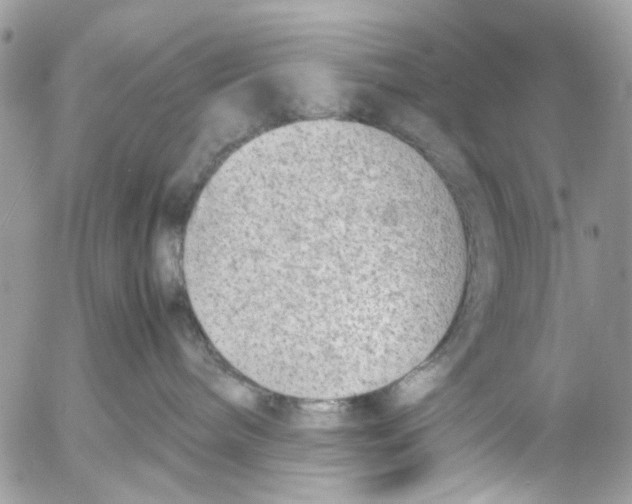 X0000053070240200508081228