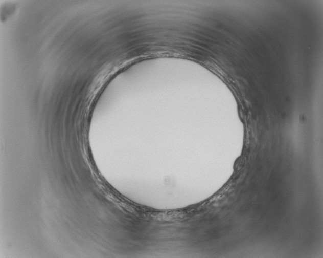 X0000053070241200508081227