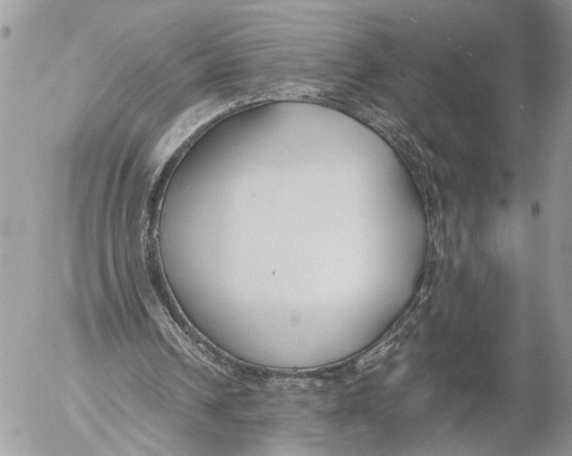 X0000053070242200508081227