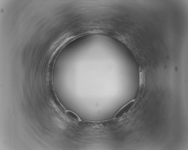 X0000053070243200508081227