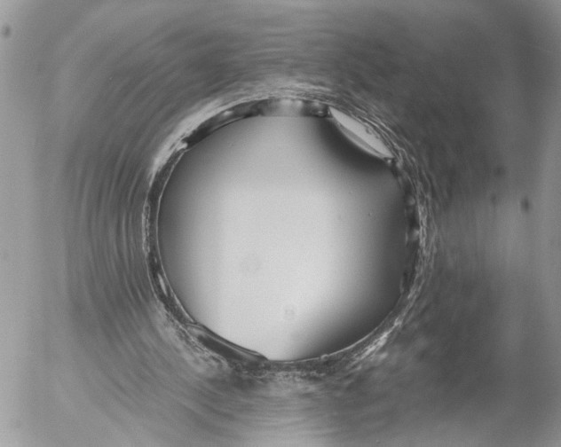 X0000053070244200508081227