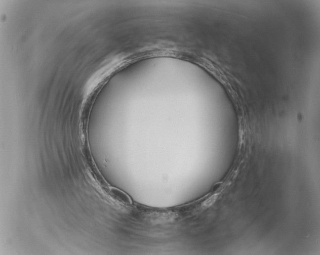 X0000053070245200508081227