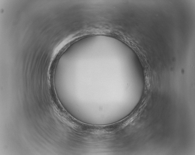 X0000053070246200508081227