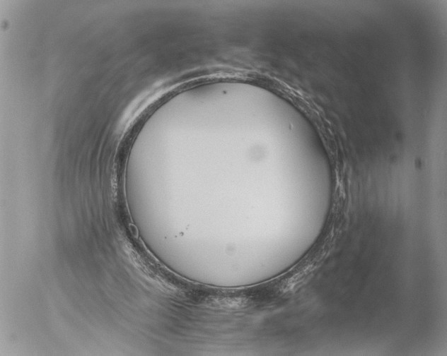 X0000053070247200508081227