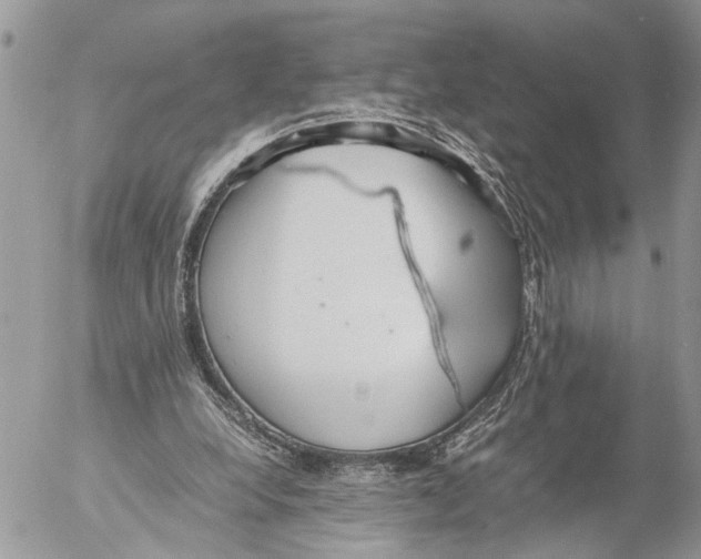 X0000053070248200508081227