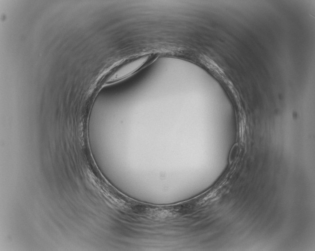 X0000053070249200508081227