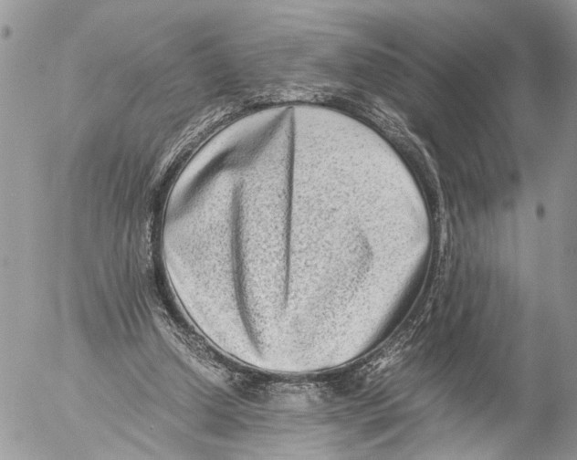 X0000053070250200508081227