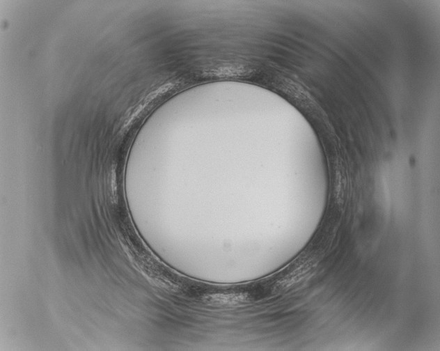 X0000053070251200508081227