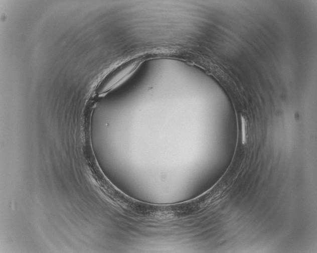 X0000053070252200508081227