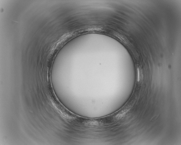 X0000053070253200508081227