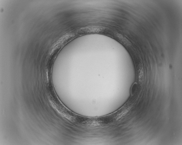 X0000053070254200508081227