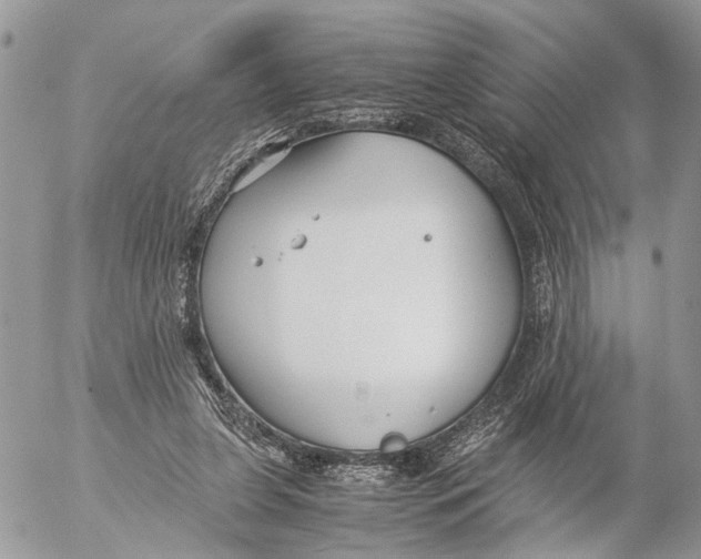 X0000053070255200508081227