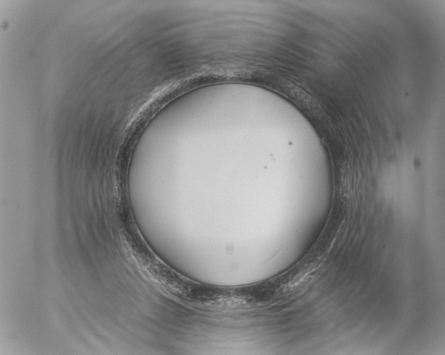 X0000053070256200508081227