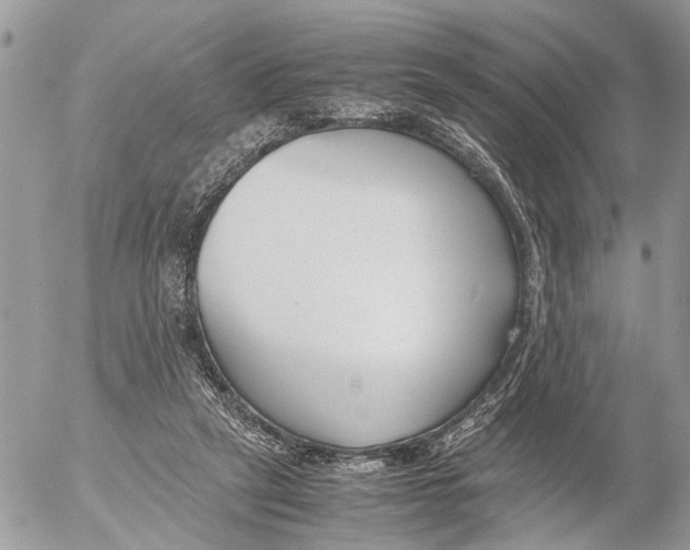 X0000053070257200508081227