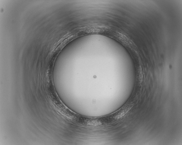 X0000053070258200508081227