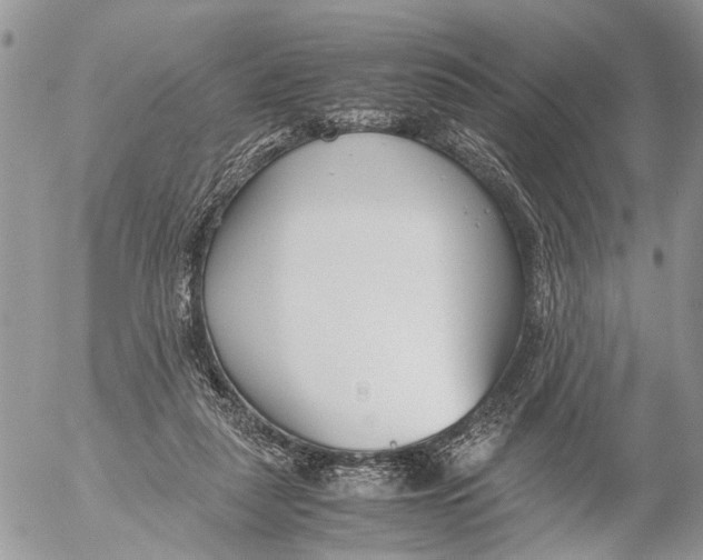 X0000053070259200508081227