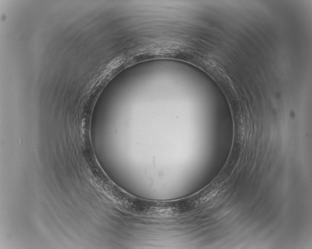 X0000053070260200508081227