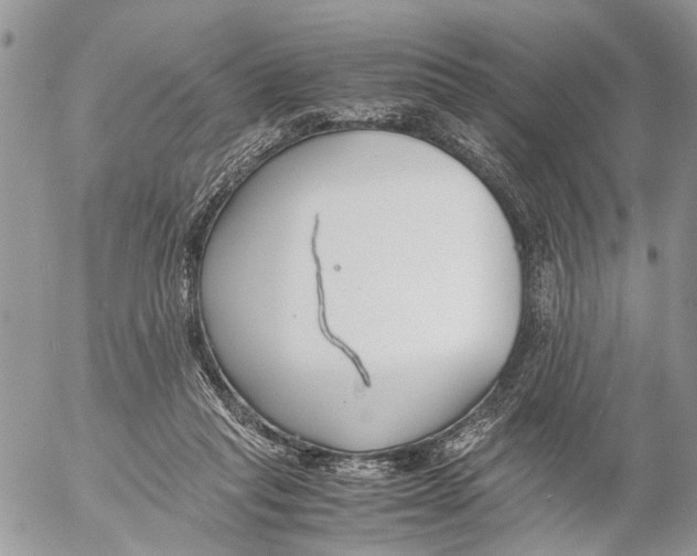 X0000053070261200508081227