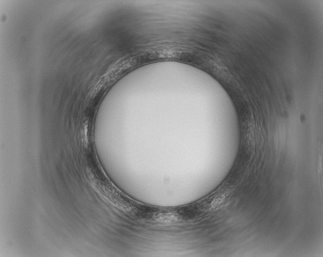 X0000053070262200508081227