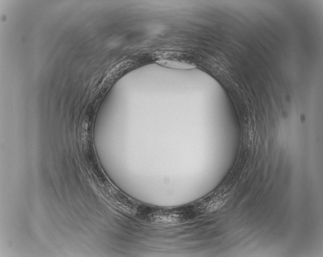 X0000053070263200508081227