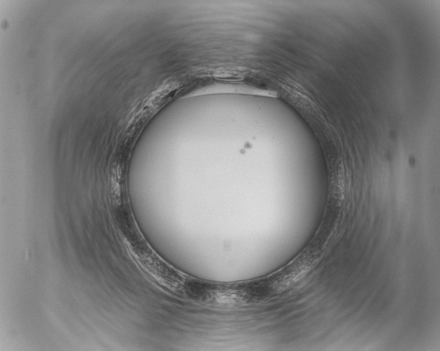 X0000053070264200508081227