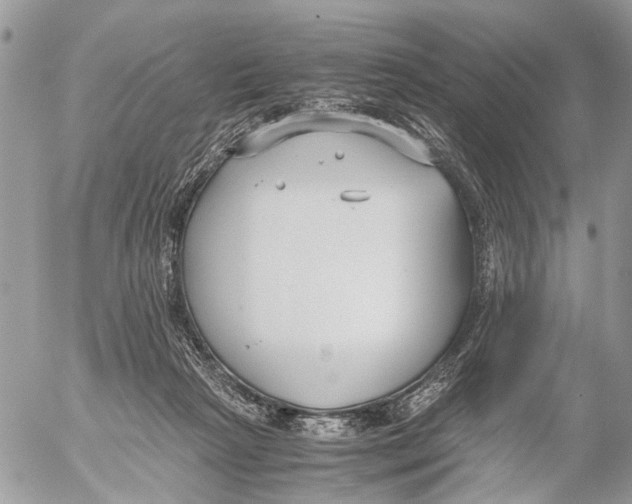 X0000053070265200508081227