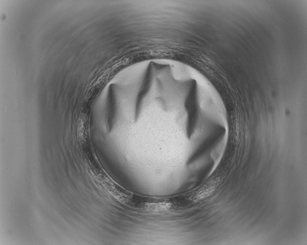 X0000053070266200508081227