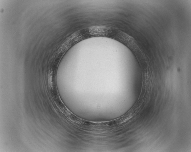 X0000053070267200508081227