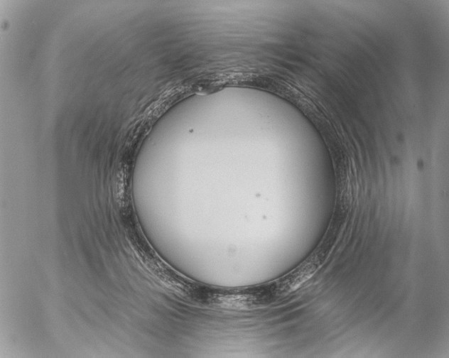 X0000053070268200508081227