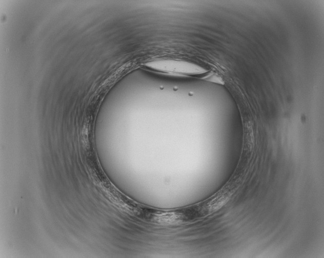 X0000053070269200508081227