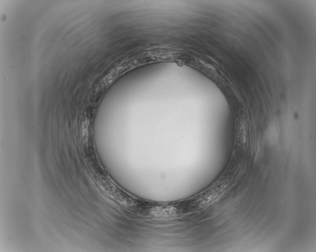 X0000053070271200508081227