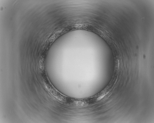 X0000053070272200508081227