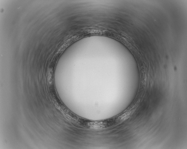 X0000053070273200508081227