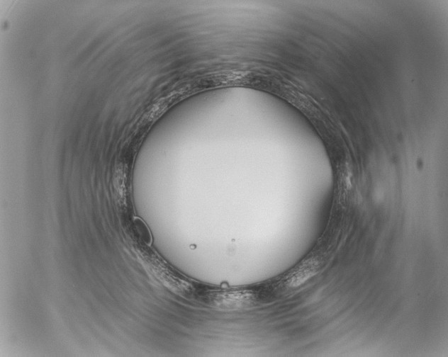 X0000053070274200508081227