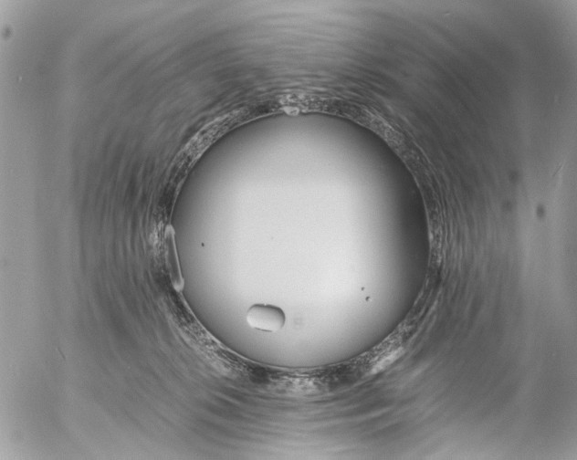 X0000053070276200508081227