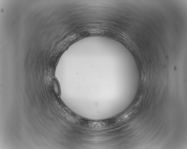 X0000053070277200508081227