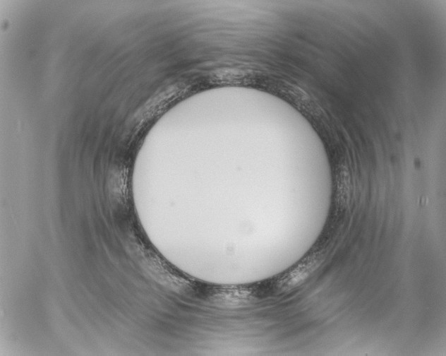 X0000053070278200508081227