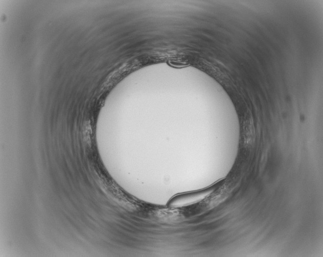 X0000053070279200508081227