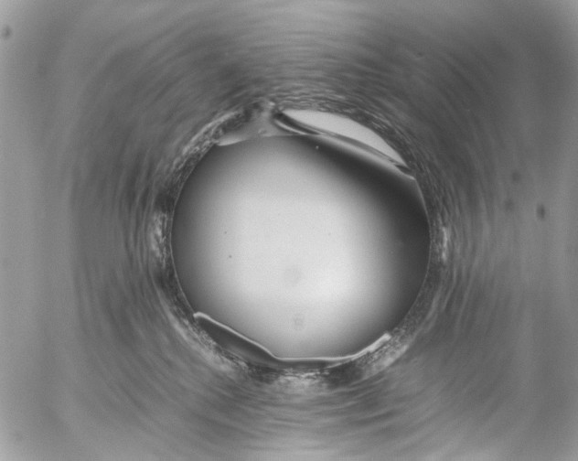 X0000053070280200508081227